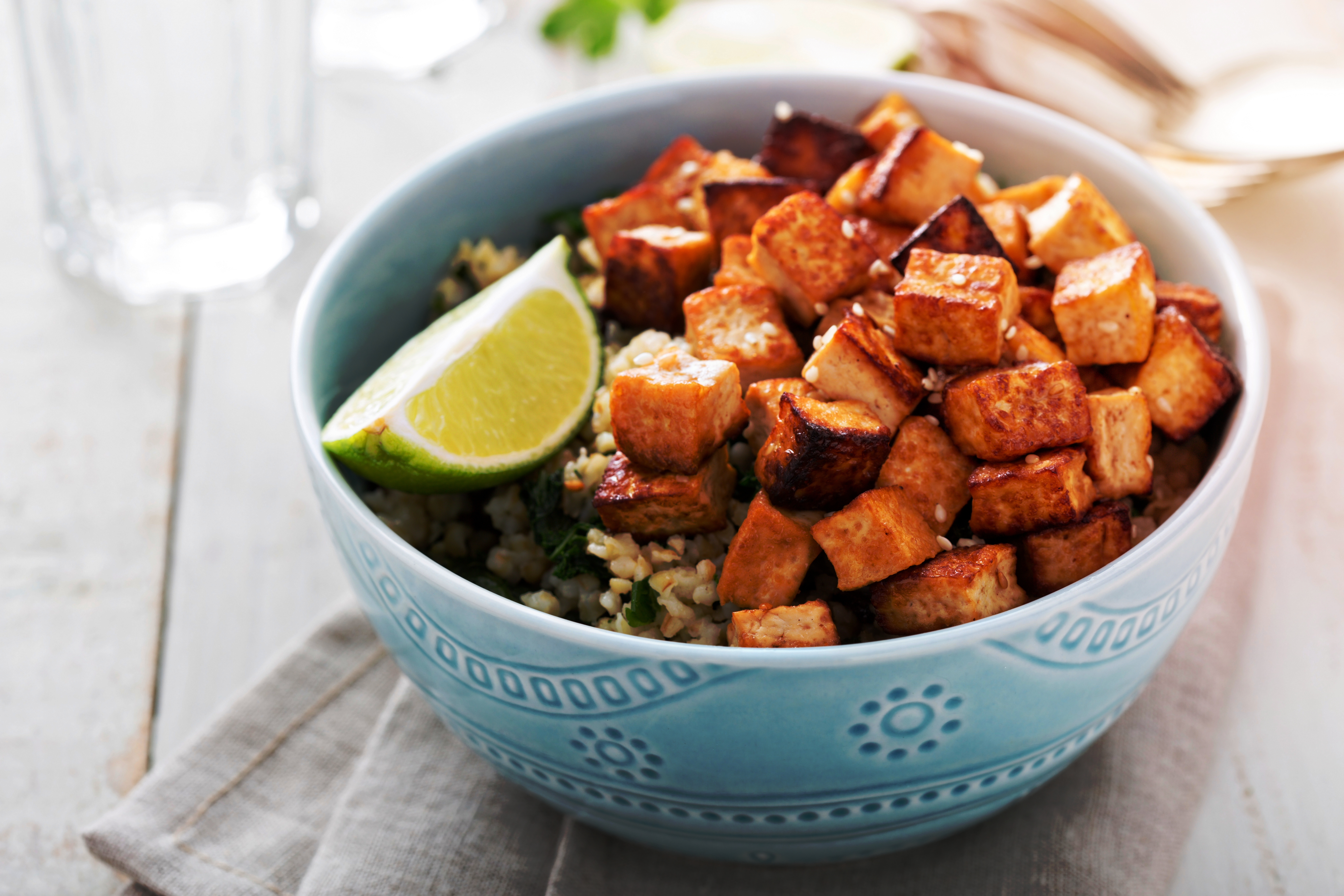 Tempeh and Tofu